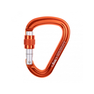 Beal Be Safe Carabiner