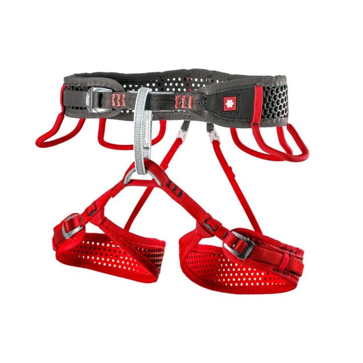 Climbing harness Ocun WeBee Lady